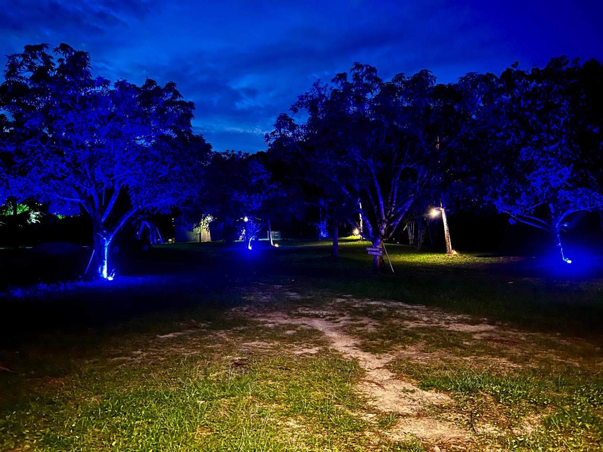 Pousada Paraiso Do Calango Azul Presidente Figueiredo Extérieur photo