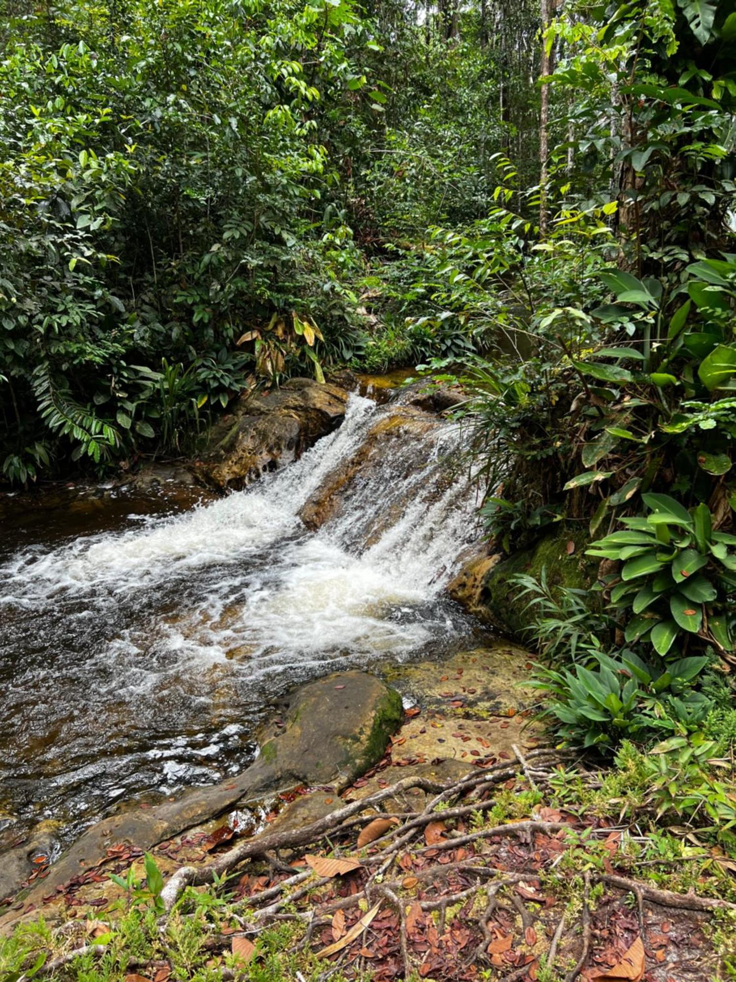 Pousada Paraiso Do Calango Azul Presidente Figueiredo Extérieur photo