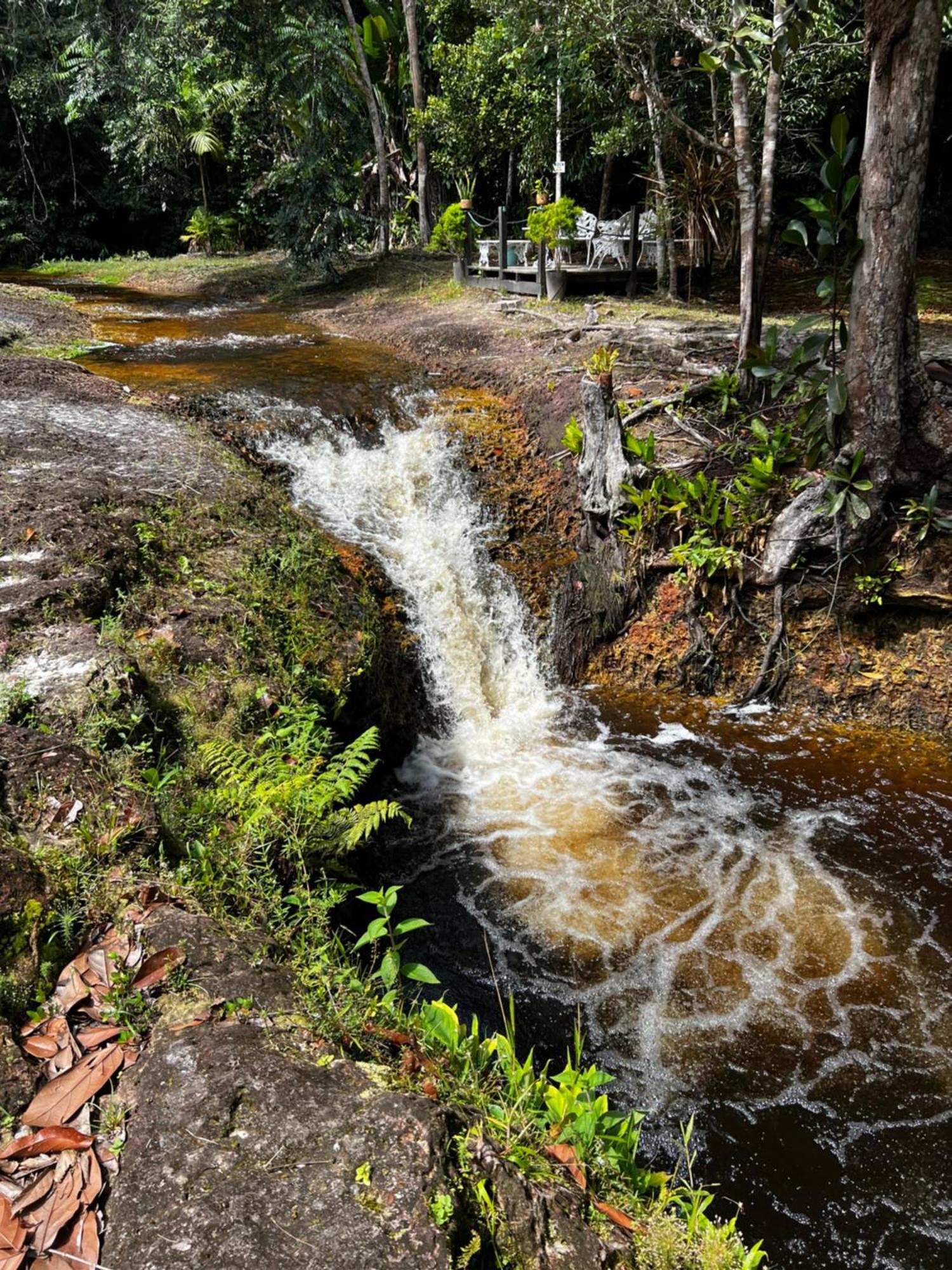Pousada Paraiso Do Calango Azul Presidente Figueiredo Extérieur photo
