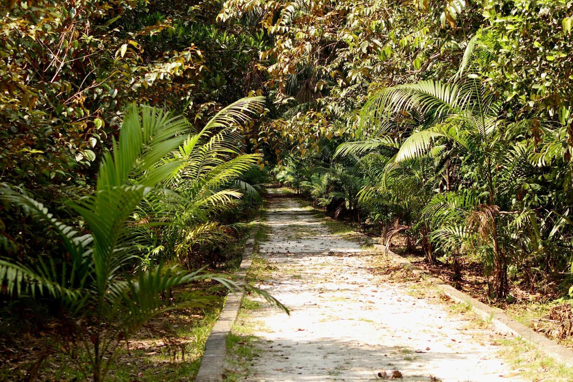 Pousada Paraiso Do Calango Azul Presidente Figueiredo Extérieur photo