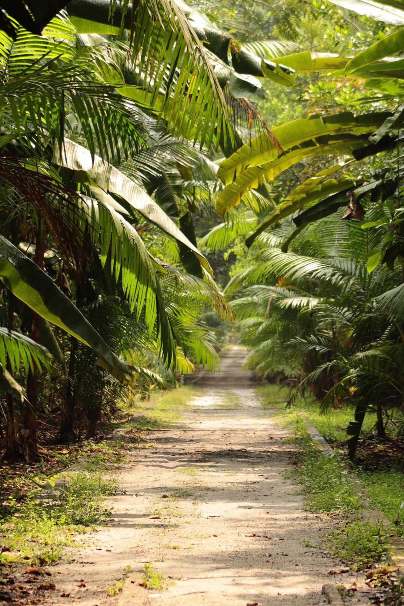 Pousada Paraiso Do Calango Azul Presidente Figueiredo Extérieur photo