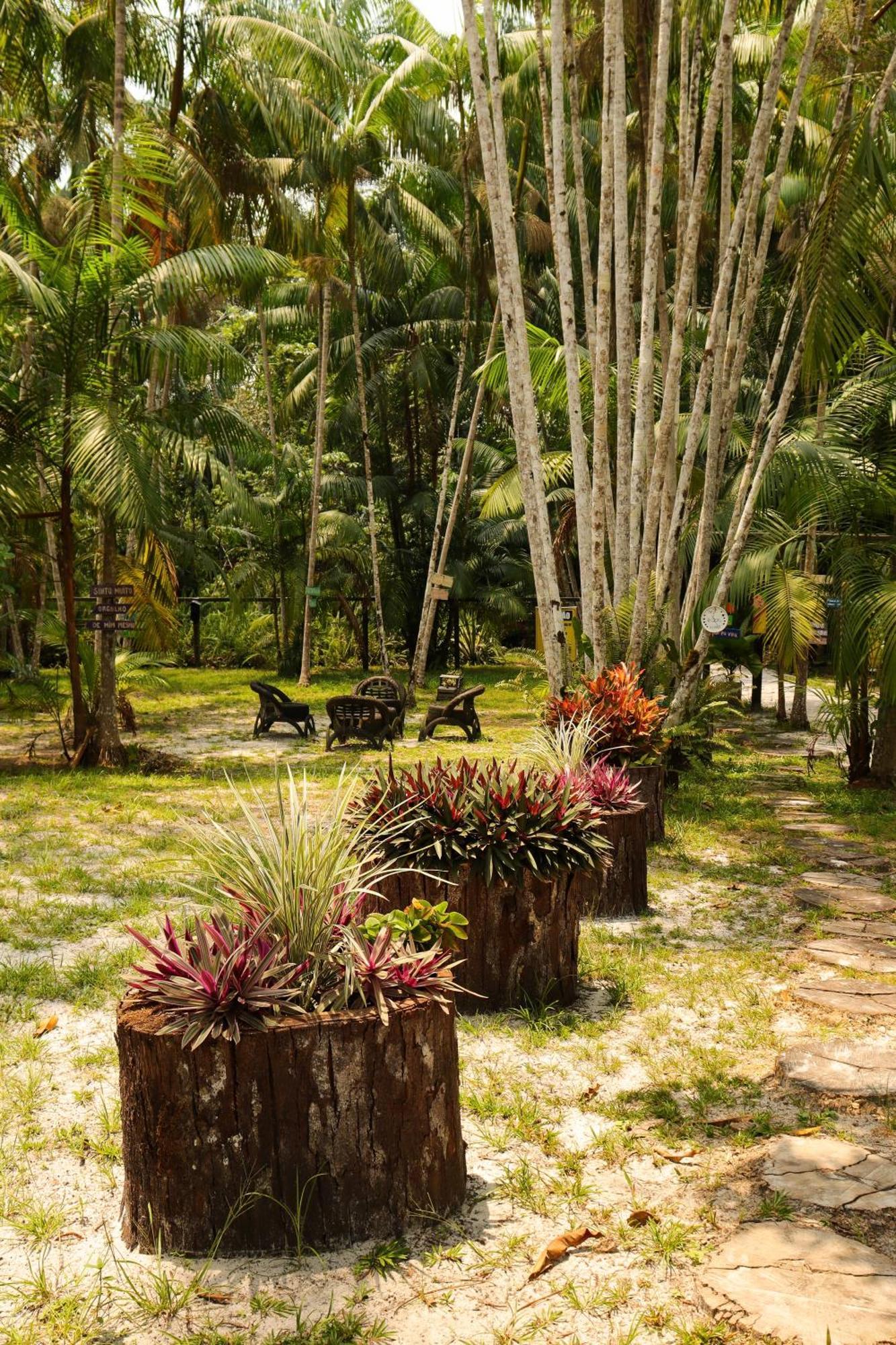 Pousada Paraiso Do Calango Azul Presidente Figueiredo Extérieur photo